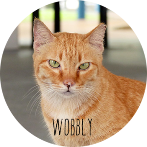 wobbly_head